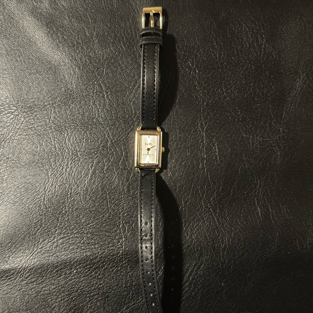 Coach Liz Watch
